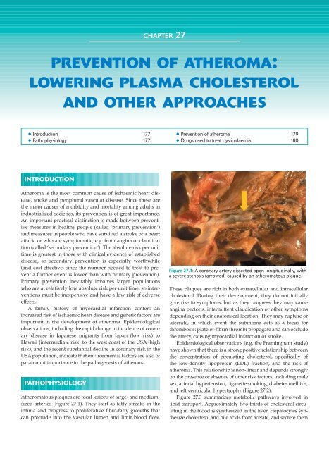 Clinical Pharmacology and Therapeutics