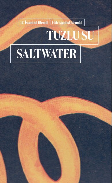 tuzlu su saltwater