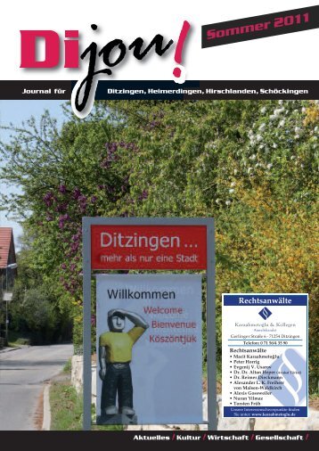 Dijou – nix von Sommer - Dimedia Verlag GbR