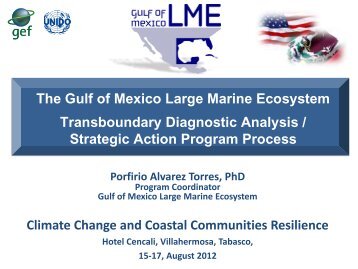 Gulf of Mexico Large Marine Ecosystem - Instituto de Ciencias del ...