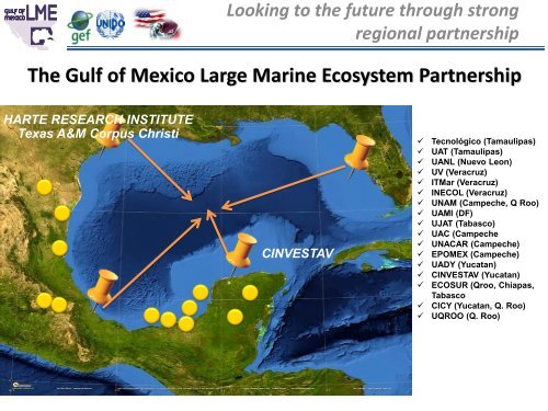 Gulf of Mexico Large Marine Ecosystem - Instituto de Ciencias del ...