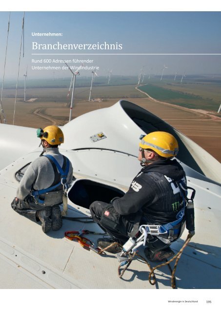 BWE Branchenreport - Windindustrie in Deutschland 2015