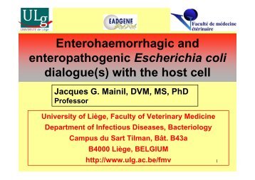 Enterohaemorrhagic and enteropathogenic Escherichia ... - eadgene