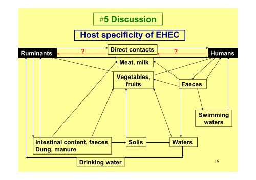 Enterohaemorrhagic and enteropathogenic Escherichia ... - eadgene