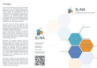 2013_syna_flyer_web.pdf