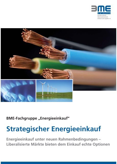 Strategischer Energieeinkauf - BME