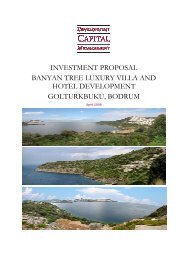 investment proposal banyan tree luxury villa and hotel development ...