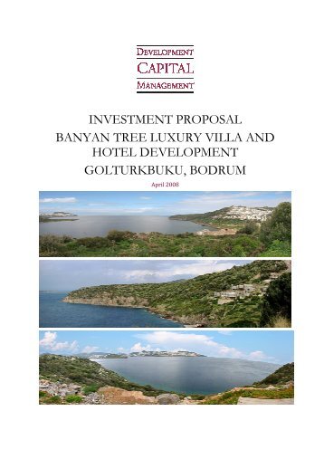 investment proposal banyan tree luxury villa and hotel development ...
