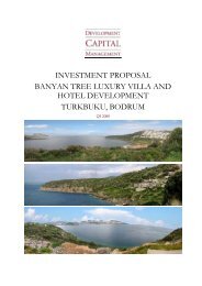 investment proposal - The Ottoman Fund