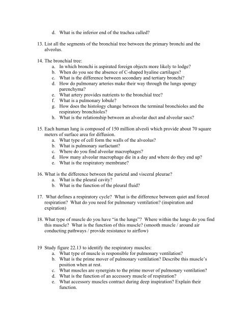 C22 - Respiratory System