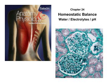 Homeostatic Balance