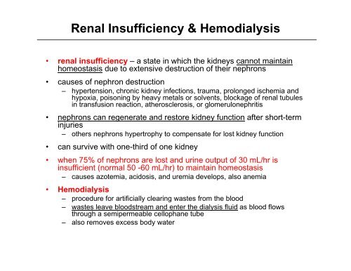 Ureter & Urinary Bladder