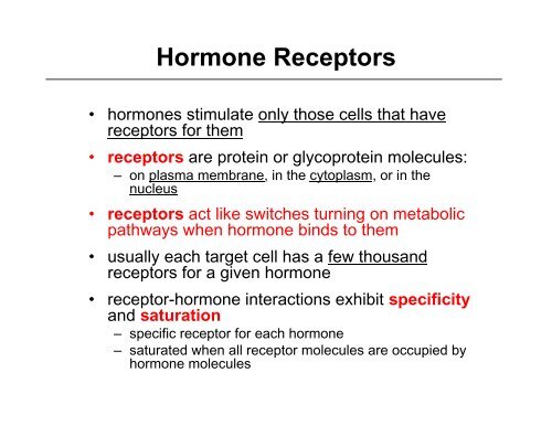 An Introduction to the Endocrine System