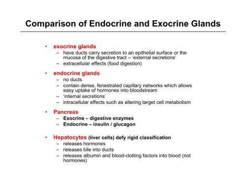 An Introduction to the Endocrine System