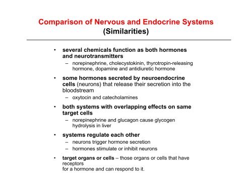 An Introduction to the Endocrine System