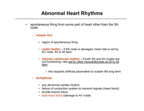 Nerve Supply to the Heart / SA & AV Nodes / EKG