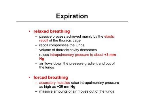 The Respiratory Cycle