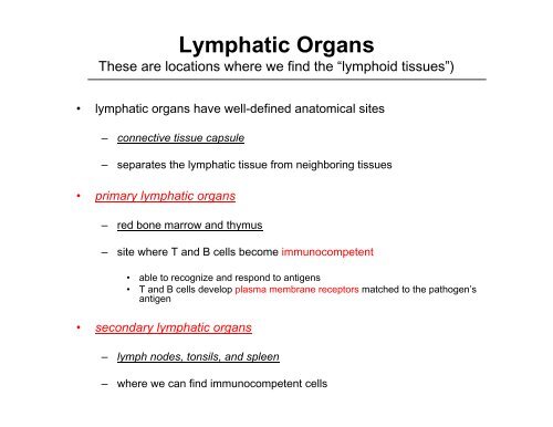 Lymphatic Cells & Lymphatic Tissue