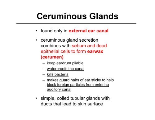 Cutaneous Glands