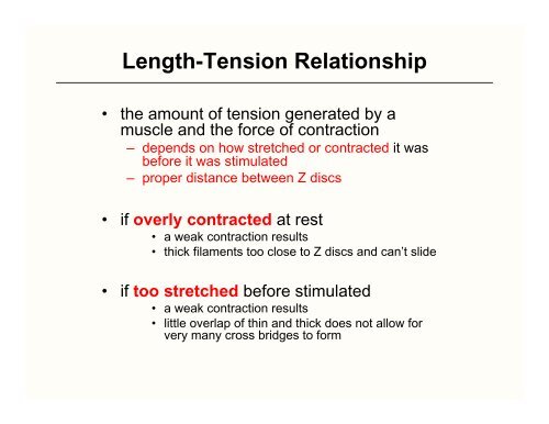 Length Tension Relationship & Whole Muscle Behavior