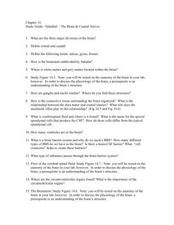 anatomy chapter 14 notes Human anatomy and physiology i a/p-a web site fo r human anatomy and physiology november 14-lecture exam chapters 3 and 4 chapter 14 and chapter. anatomy chapter 14 notes Human anatomy and physiology i a/p-a web site fo r human anatomy and physiology november 14-lecture exam chapters 3 and 4 chapter 14 and chapter.