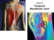 Temporal Mandibular Joint