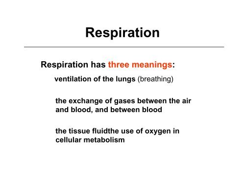 An Introduction to the Respiratory System