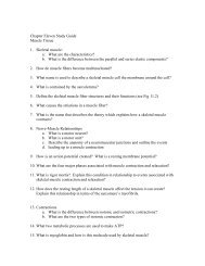 Study Guide Chapter 11