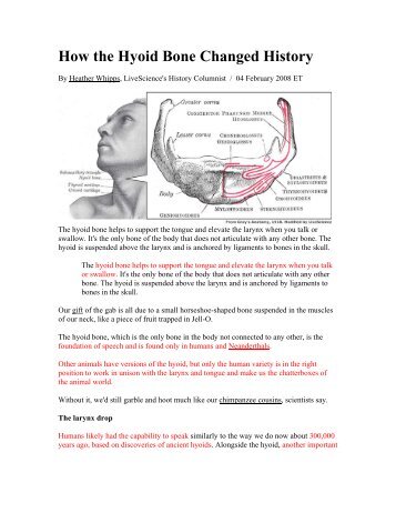 How the Hyoid Bone Changed History