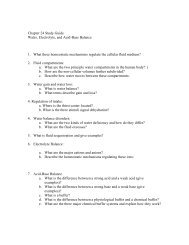 Chapter 24 Study Guide Water, Electrolyte, and Acid-Base Balance ...