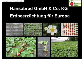 Hansabred GmbH & Co. KG Erdbeerzüchtung für Europa - Bioland