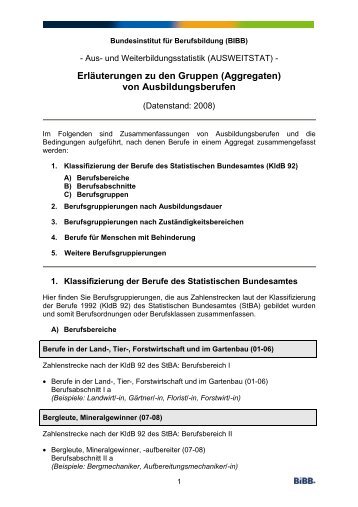 Aggregaten - BiBB