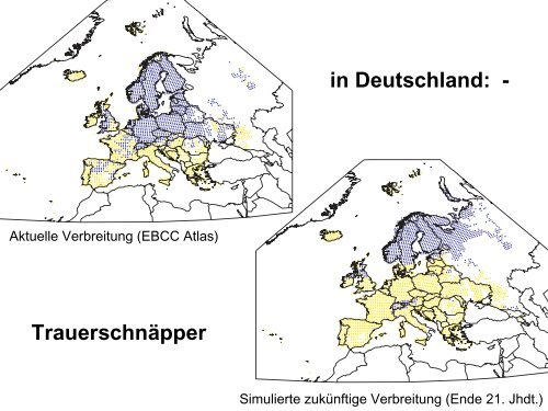 Arealverschiebung hin zu den Polen