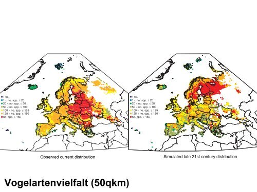 Arealverschiebung hin zu den Polen