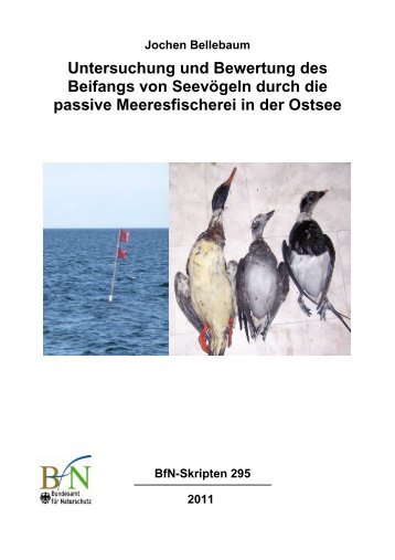 Untersuchung und Bewertung des Beifangs von Seevögeln durch ...