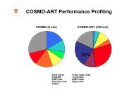 COSMO-ART Performance Profiling