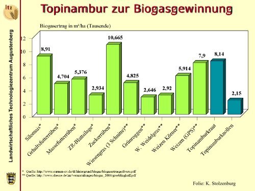 Thiel Mehrjährige-Energiepflanzen