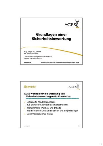 Grundlagen einer Sicherheitsbewertung (pdf) - 1.06 mb