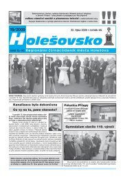 Hole‰ovsko