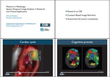 Cardiac cycle Cognitive process