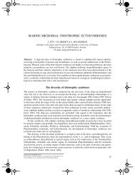 marine microbial thiotrophic ectosymbioses - HYDRA-Institute