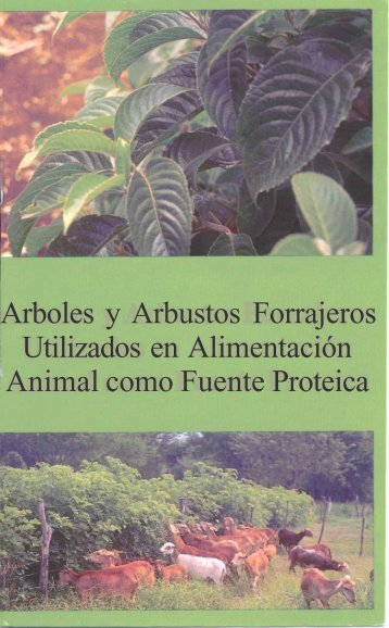 Arboles y Arbustos Forrajeros Utilizados en Alimentación Animal ...