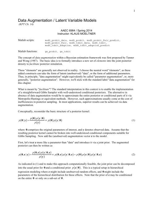 Data Augmentation / Latent Variable Models