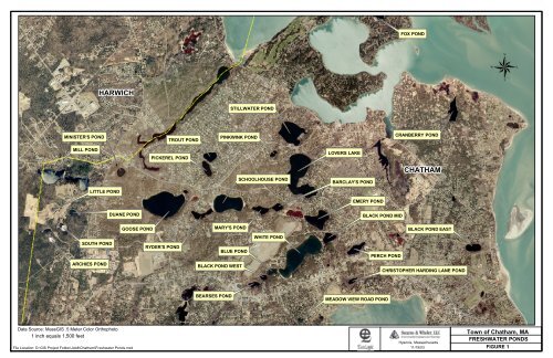 Action Plan for the Town of Chatham Ponds