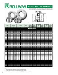 RADIAL ROLLER BEARINGS