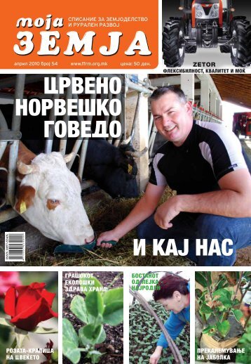 GOVEDO I KAJ NAS