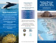 Piedras Blancas Cambria and White Rock MPAs