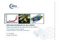 Alternative Kraftstoffe für die Luftfahrt - ForNeBiK