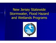 New Jersey Statewide Stormwater Flood Hazard and Wetlands Programs