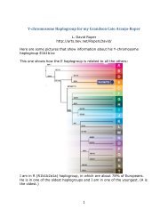 Y-chromosome Haplogroup for my Grandson Caio Araujo-Roper